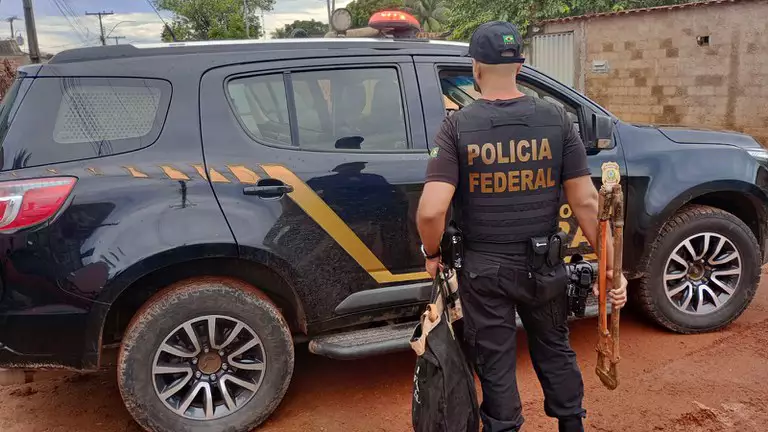 Campo Formoso: PF realiza operação de combate ao plantio de maconha