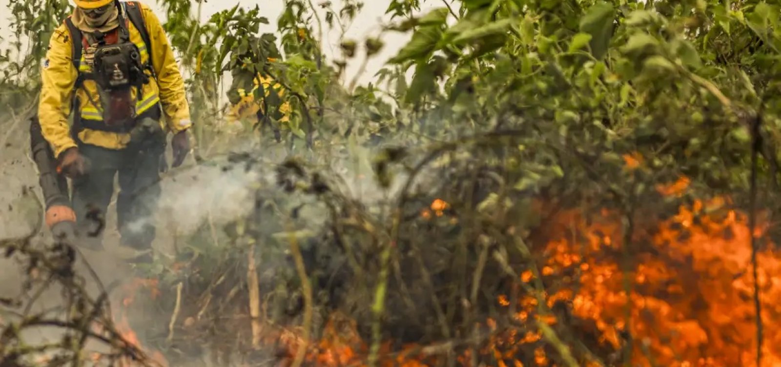 Brasil pode perder o Pantanal até o fim do século, diz Marina Silva