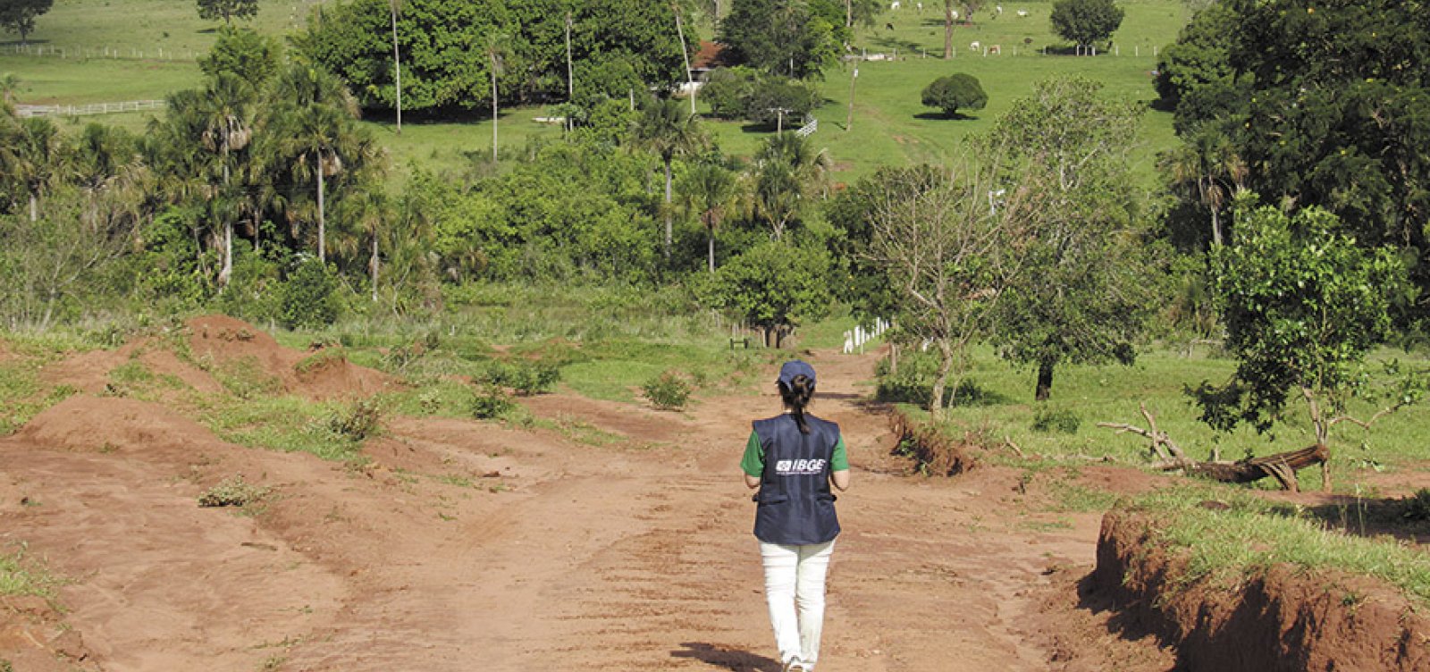 Bahia é o estado com maior população rural do país, aponta Censo